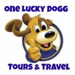 Logo OLDog