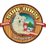 Surf Dogs in Jaco